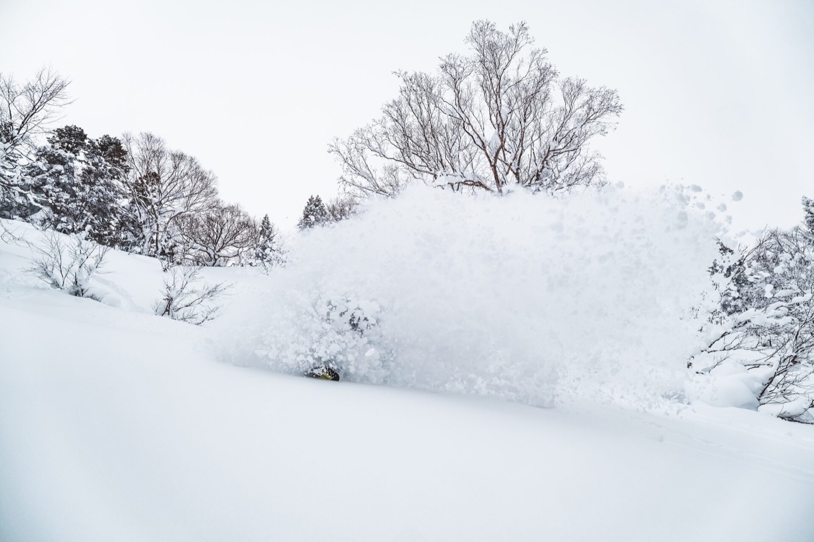 Neve profonda che esplode dietro a un rider fra gli alberi